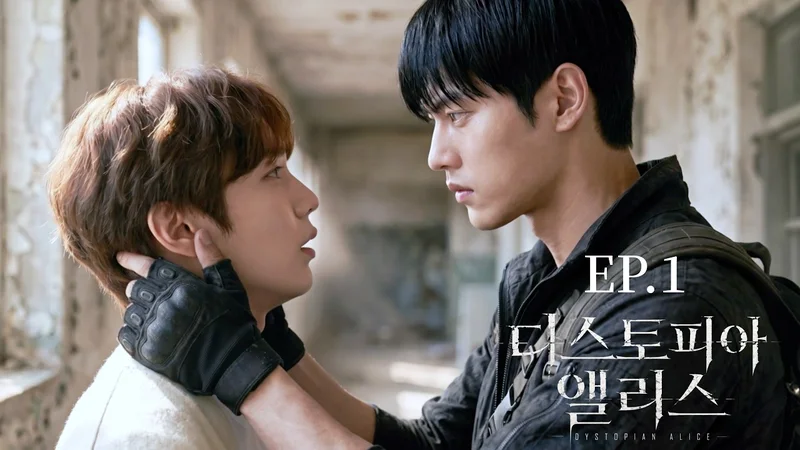 Dystopia Alice 디스토피아 앨리스 —— BL AI 短剧视频封面